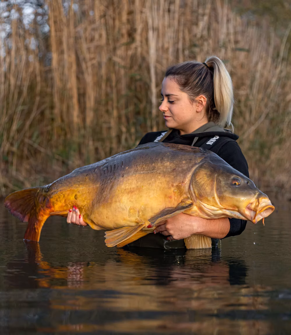 Spiegelkarper gevangen op Heritage Carp Fishing